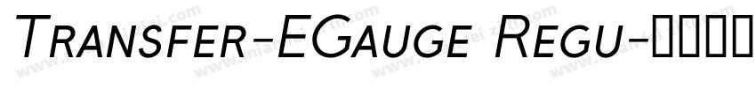 Transfer-EGauge Regu字体转换